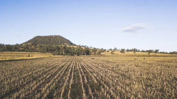 Blick auf den Mount Walker, Queensland — Stockfoto