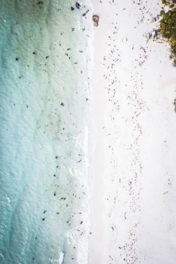 Yukarıda, Ansons Bay bulunan Bay yangınlar Tasmania'deki / daki yakınındaki