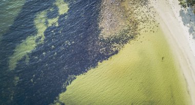 Tazmanya Beach'de Dennes noktası