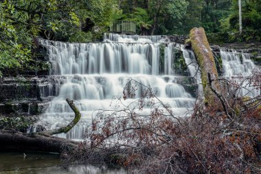 Liffey Midlands bölge, Tazmanya düşüyor