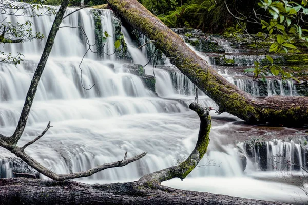 Liffey fällt in der Midlands Region, Tasmanien — Stockfoto