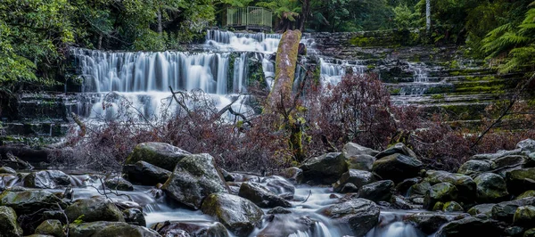 Liffey Falls en la región de Midlands, Tasmania — Foto de Stock