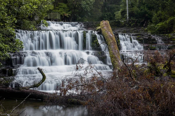 Liffey Falls en la región de Midlands, Tasmania — Foto de Stock