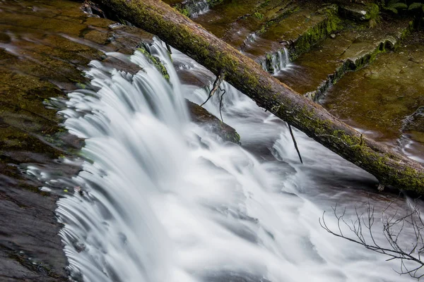 Liffey Falls nella regione delle Midlands, Tasmania — Foto Stock