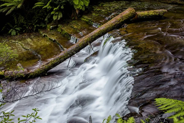 Liffey fällt in der Midlands Region, Tasmanien — Stockfoto