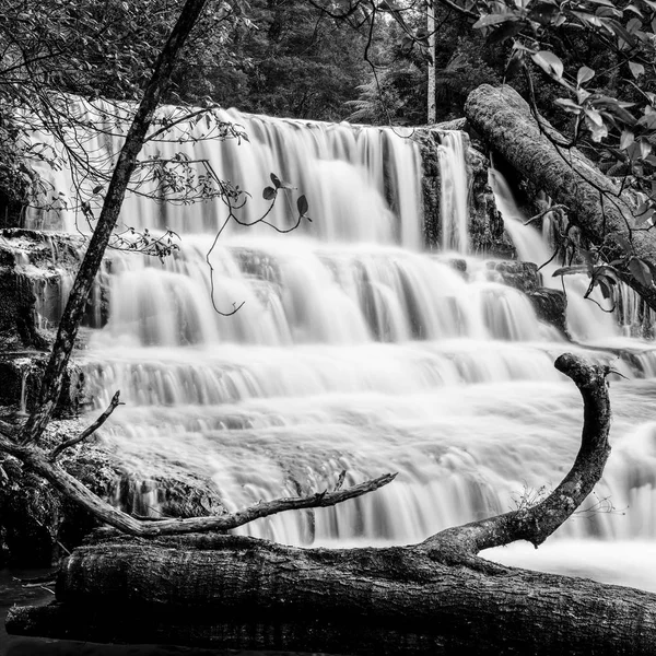 Liffey Falls na região de Midlands, Tasmânia — Fotografia de Stock