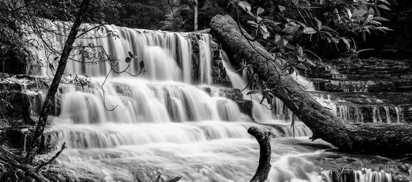 Liffey Falls in the Midlands Region, Tasmania — Stock Photo, Image