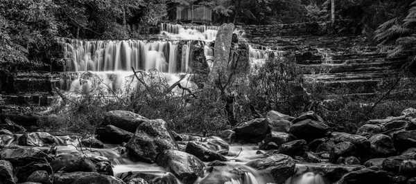 Liffey Falls in the Midlands Region, Tasmania — Stock Photo, Image