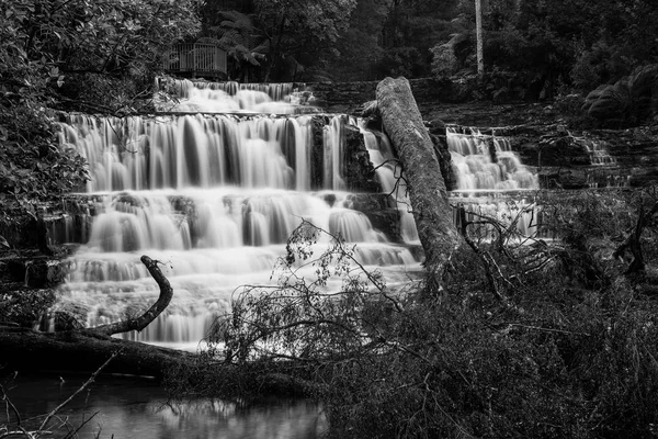 Liffey Falls na região de Midlands, Tasmânia — Fotografia de Stock