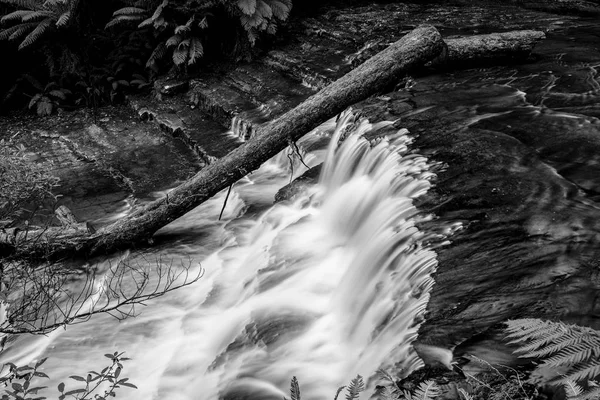 Liffey esik, a Midlands régió, Tasmania — Stock Fotó