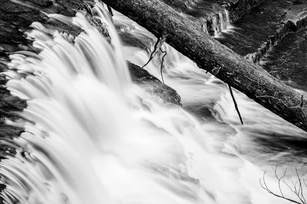 Liffey Falls en la región de Midlands, Tasmania —  Fotos de Stock