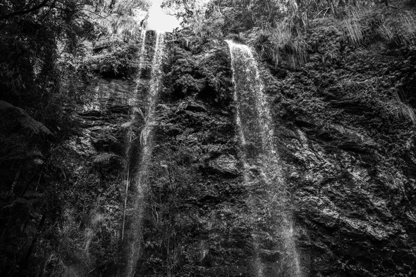 Twin Falls vízesés Springbrook nemzeti parkban található. — Stock Fotó