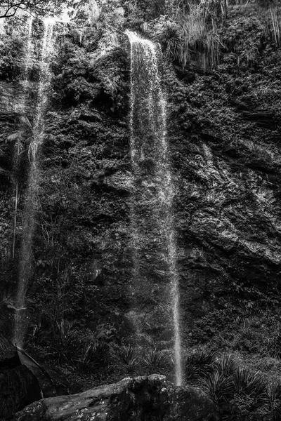 Twin Falls vattenfall ligger i Springbrook nationalpark. — Stockfoto