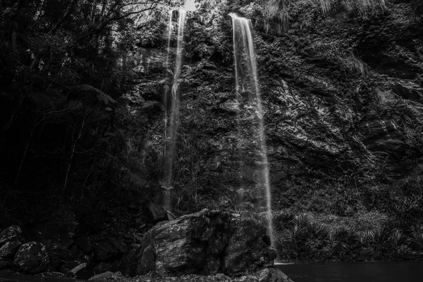 Twin Falls vattenfall ligger i Springbrook nationalpark. — Stockfoto