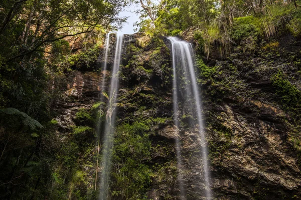 Cachoeira de Twin Falls localizada no Parque Nacional de Springbrook . — Fotografia de Stock