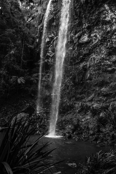 Cachoeira de Twin Falls localizada no Parque Nacional de Springbrook . — Fotografia de Stock