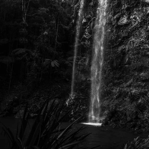 Twin Falls waterfall located in Springbrook National Park. — Stock Photo, Image
