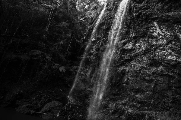 Twin Falls waterfall located in Springbrook National Park. — Stock Photo, Image