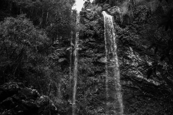 Twin Falls waterfall located in Springbrook National Park. — Stock Photo, Image