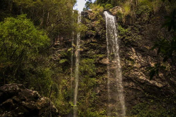 Twin Falls vízesés Springbrook nemzeti parkban található. — Stock Fotó