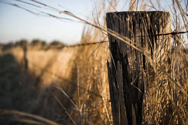 Zrezivělé ostré dřevěné a kovové hrotem drátěný plot. — Stock fotografie