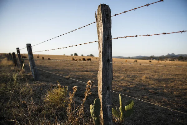 Rusted sharp timber and metal barb wire fence. — Stock Photo, Image