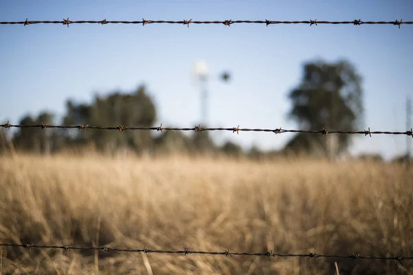 Rusted sharp timber and metal barb wire fence. — Stock Photo, Image