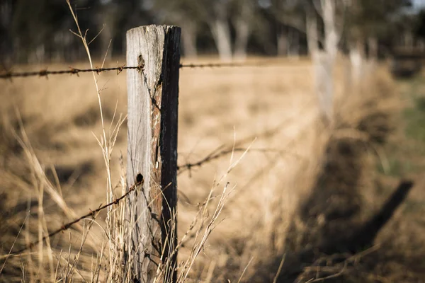 Rostiga skarpa timmer och metall barb wire staket. — Stockfoto