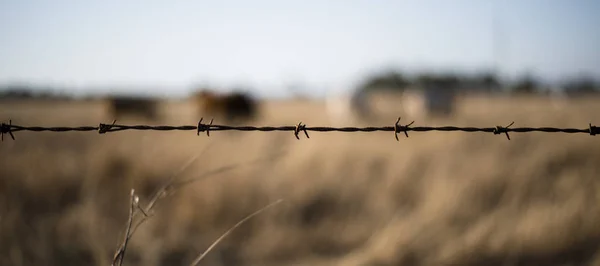 Valla de alambre de púas de metal y madera afilada oxidada . — Foto de Stock