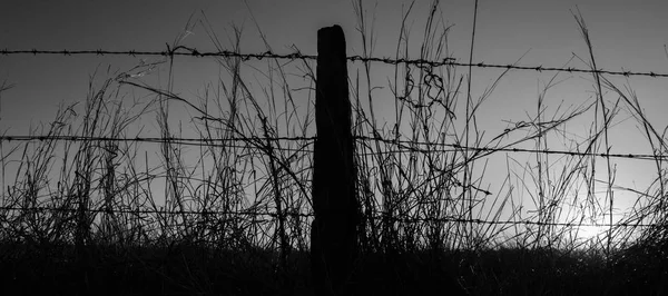 Rusted sharp timber and metal barb wire fence. — Stock Photo, Image