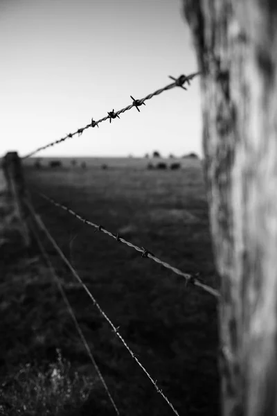 Rostiga skarpa timmer och metall barb wire staket. — Stockfoto