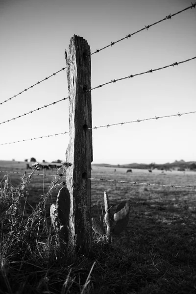 Rusted sharp timber and metal barb wire fence. — Stock Photo, Image