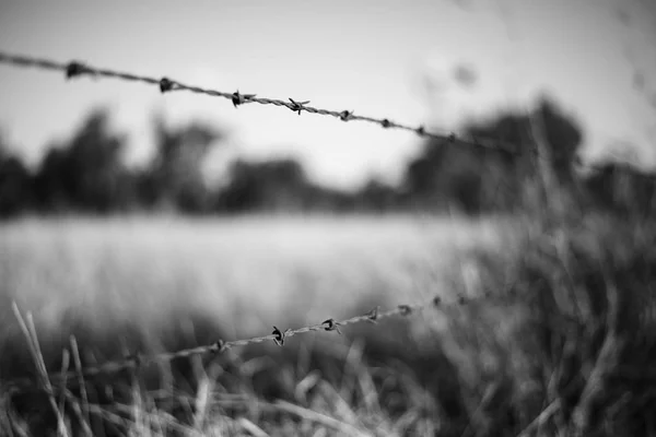 Rusted sharp timber and metal barb wire fence. — Stock Photo, Image