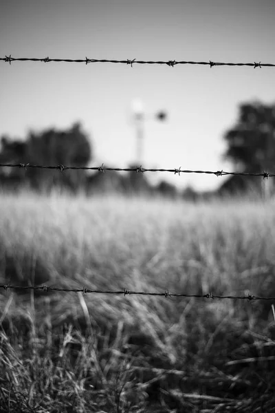 Paslı keskin ahşap ve metal barb tel çit. — Stok fotoğraf