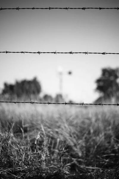 Rostiga skarpa timmer och metall barb wire staket. — Stockfoto