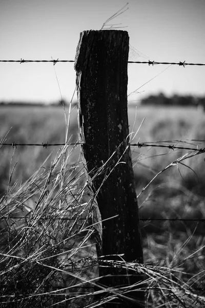 Verroeste scherpe hout en metalen barb wire omheining. — Stockfoto