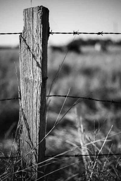 Rusted sharp timber and metal barb wire fence. — Stock Photo, Image