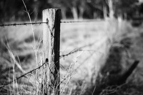 Rusted sharp timber and metal barb wire fence. — Stock Photo, Image