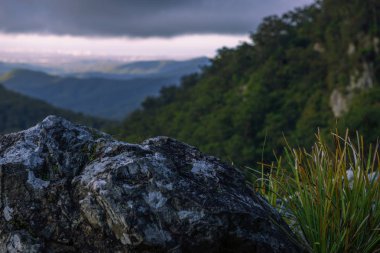 Gold Coast Hinterlands görünümünden dağ