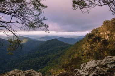 Gold Coast Hinterlands görünümünden dağ