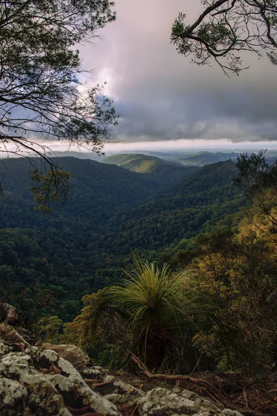 Vista montanha a partir do Gold Coast Hinterlands — Fotografia de Stock