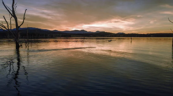 Lake Moogerah Queensland havadan görünümü