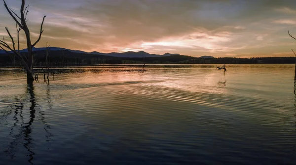 Lake Moogerah Queensland havadan görünümü