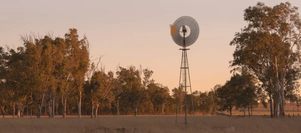 Windmill in a paddock — Stock Photo, Image