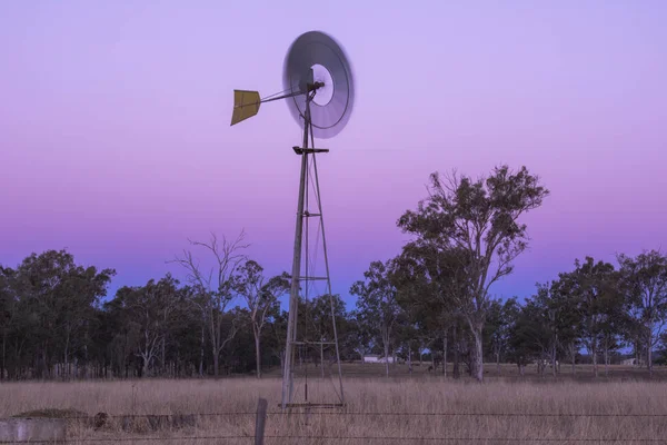 Windmill in a paddock — Stock Photo, Image