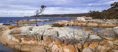 Yangınlar Bay Binalong Bay
