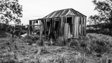 Terk edilmiş taşra Queensland kulübede tarım