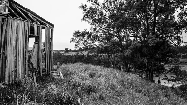 Barracão abandonado da agricultura do outback em Queensland — Fotografia de Stock