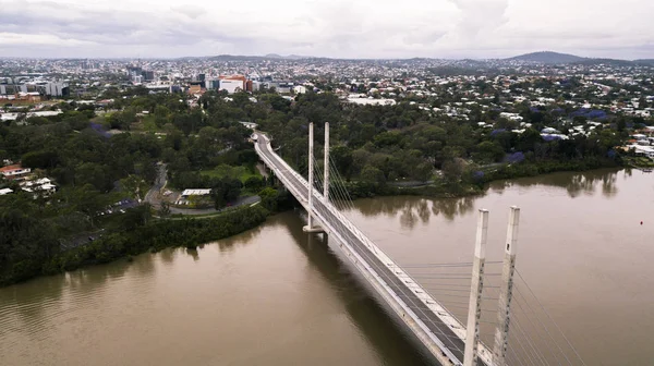 Widok na most Eleanor Schonell w West End, Brisbane — Zdjęcie stockowe