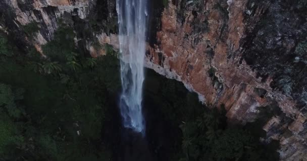 Purlingbrook Falls en el Parque Nacional de Springbrook . — Vídeos de Stock